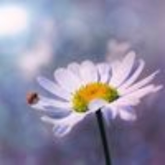 Meet your Posher, Adazesre - Picture 1 of 1